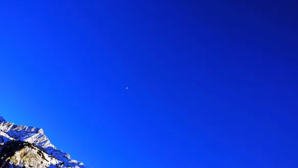 Casino Bet Rocker Support